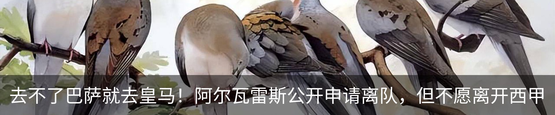 行业资讯