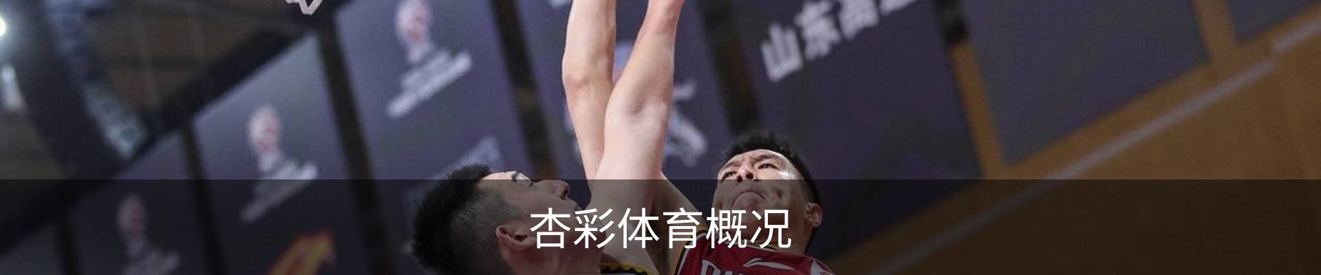 杏彩体育概况