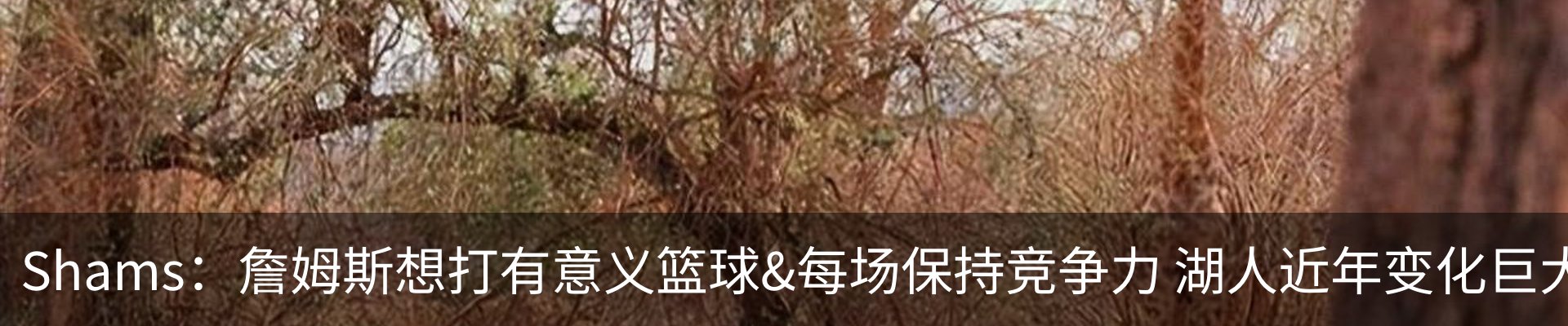 行业资讯